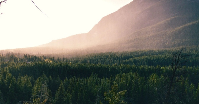 Prenatal Chiropractic